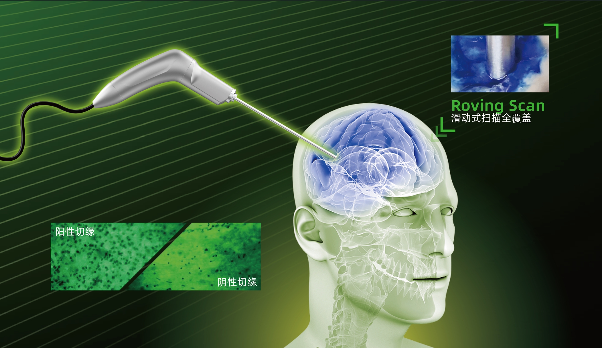 微信截圖_20240603165329.png